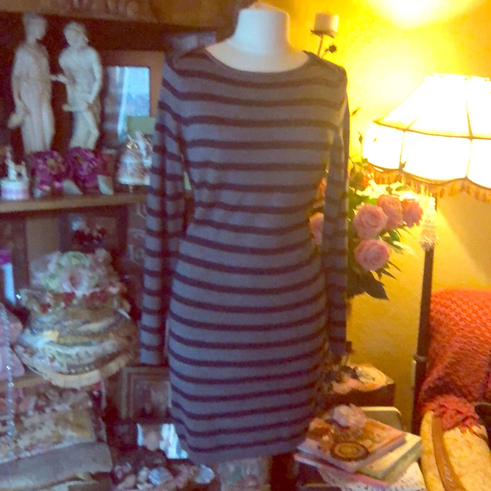Loft sweater dress
